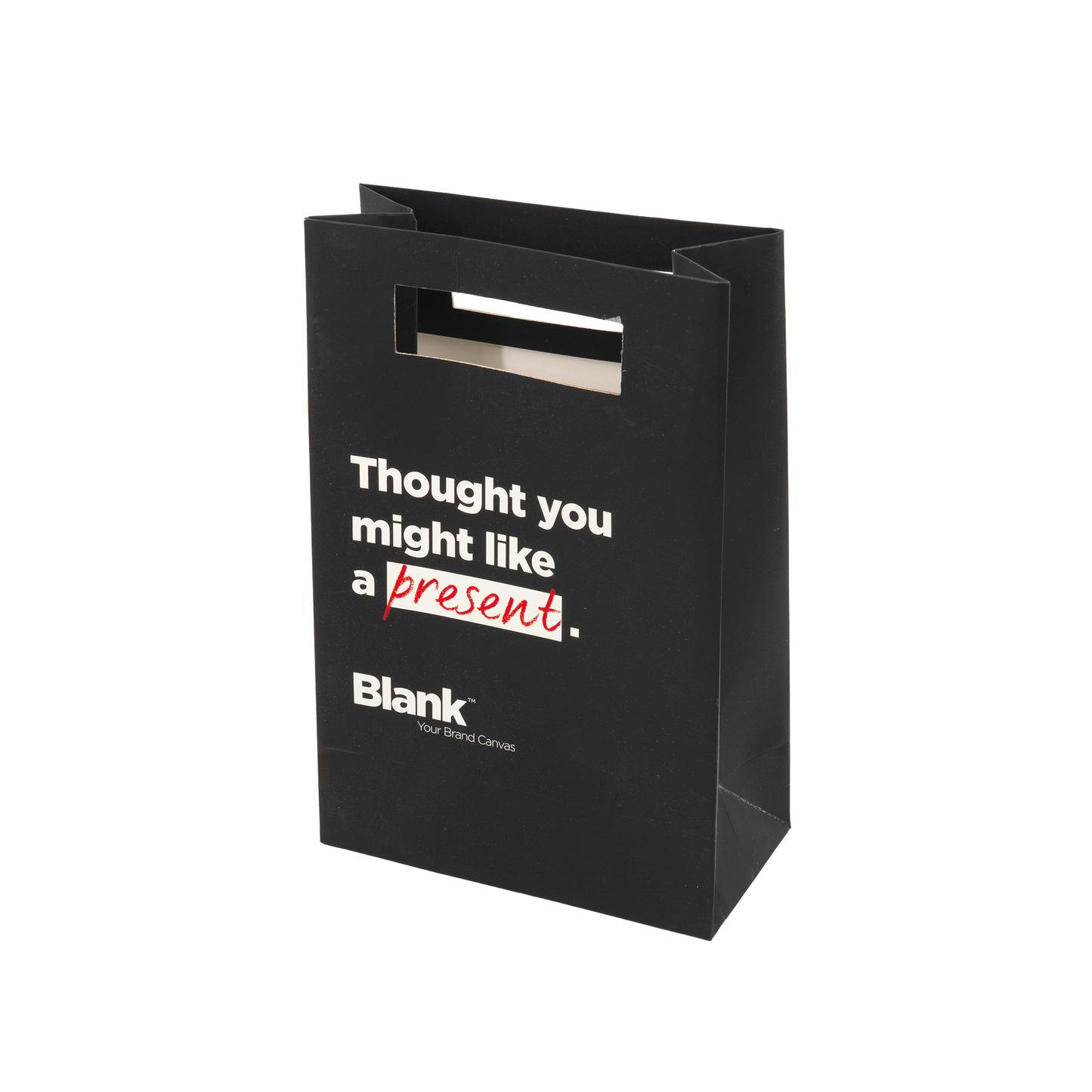 Paper Gift Bag